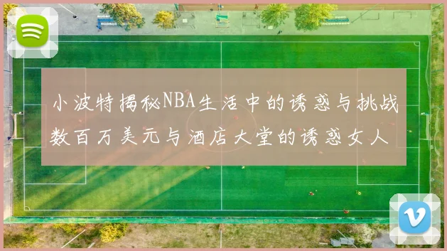 小波特揭秘NBA生活中的诱惑与挑战数百万美元与酒店大堂的诱惑女人