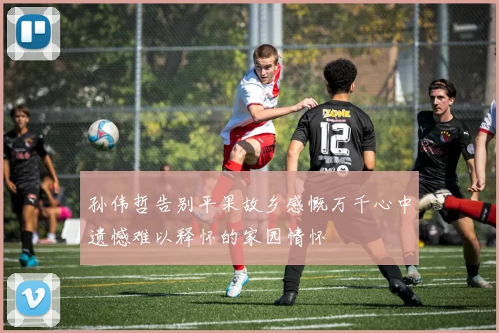孙伟哲告别平果故乡感慨万千心中遗憾难以释怀的家园情怀