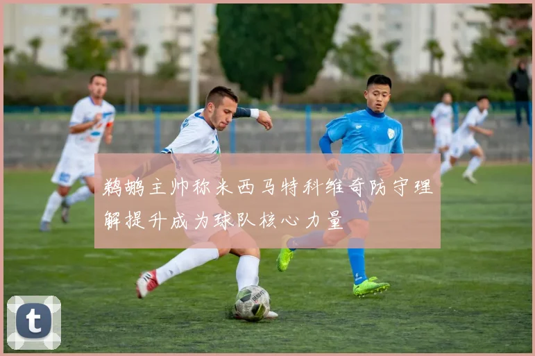 鹈鹕主帅称米西马特科维奇防守理解提升成为球队核心力量