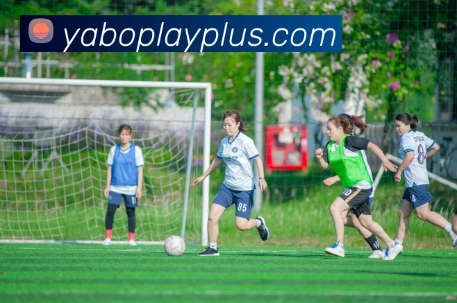 App Interface Preview