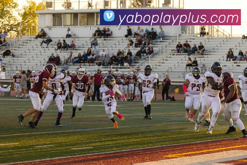 亚博体育APP 封面图